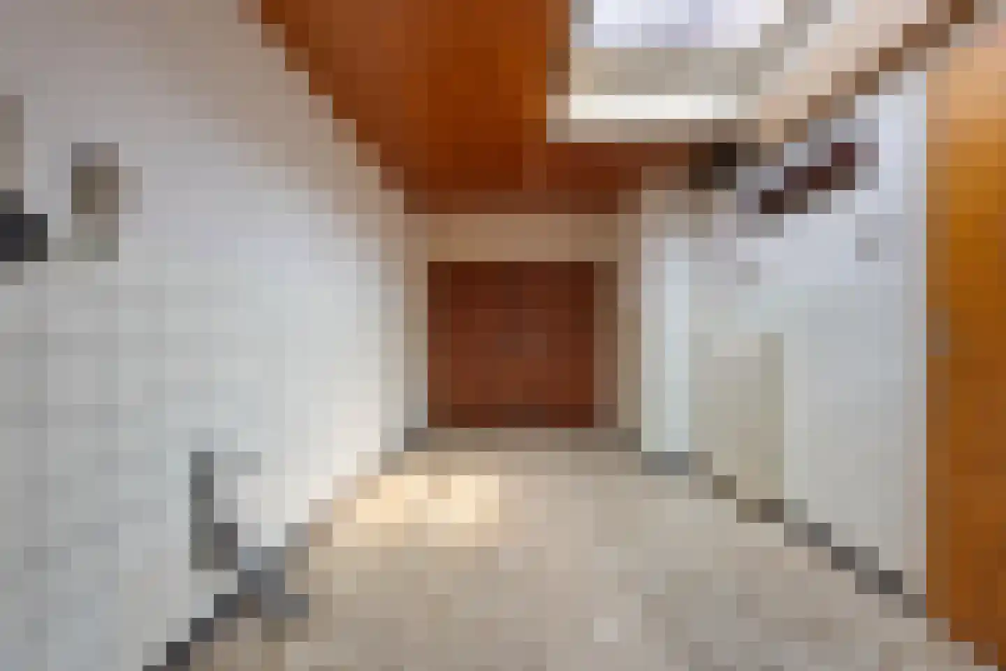Willem Alexanderstraat 3 Drunen thumbnail 28