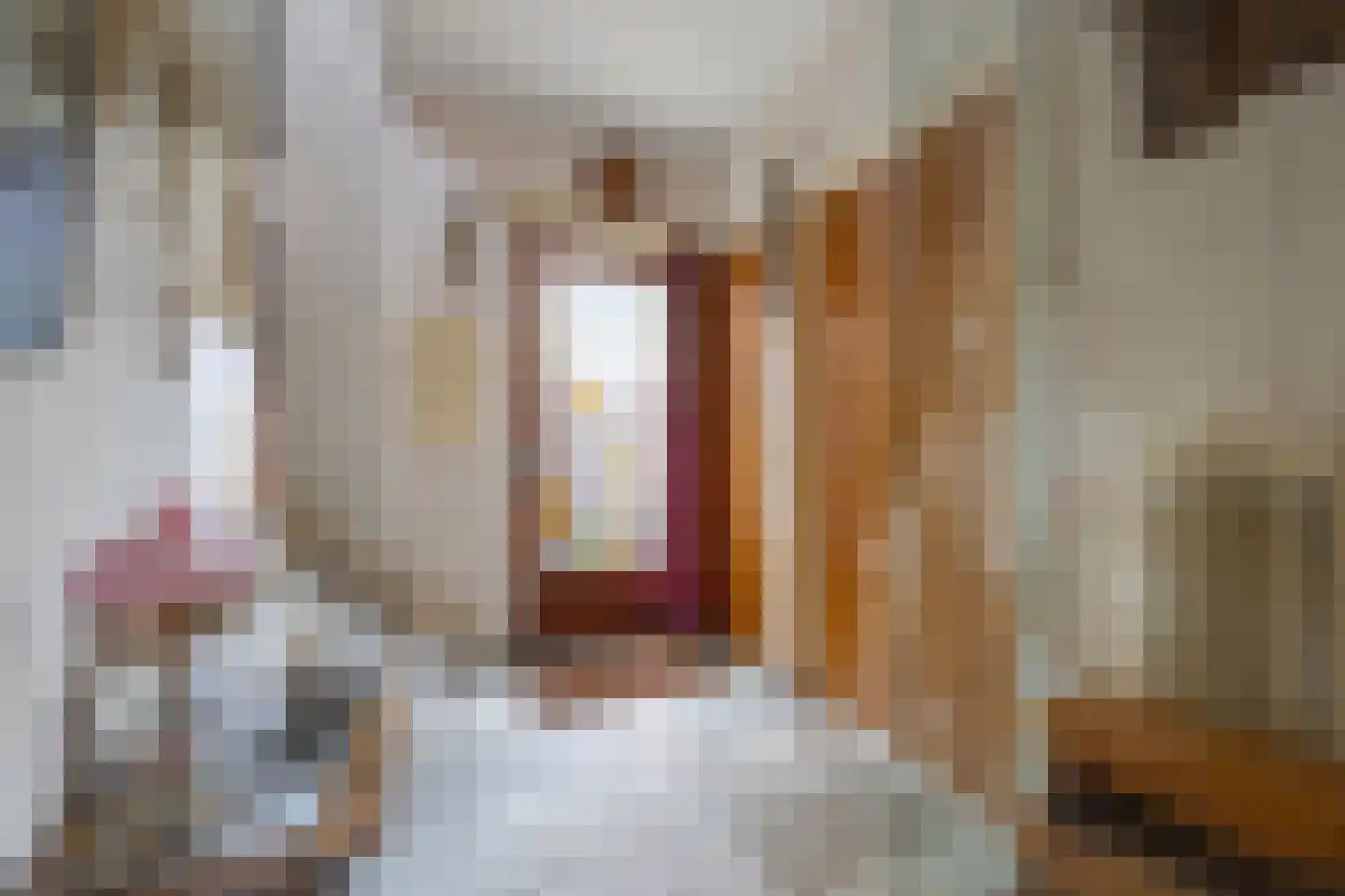 Willem Alexanderstraat 3 Drunen thumbnail 5