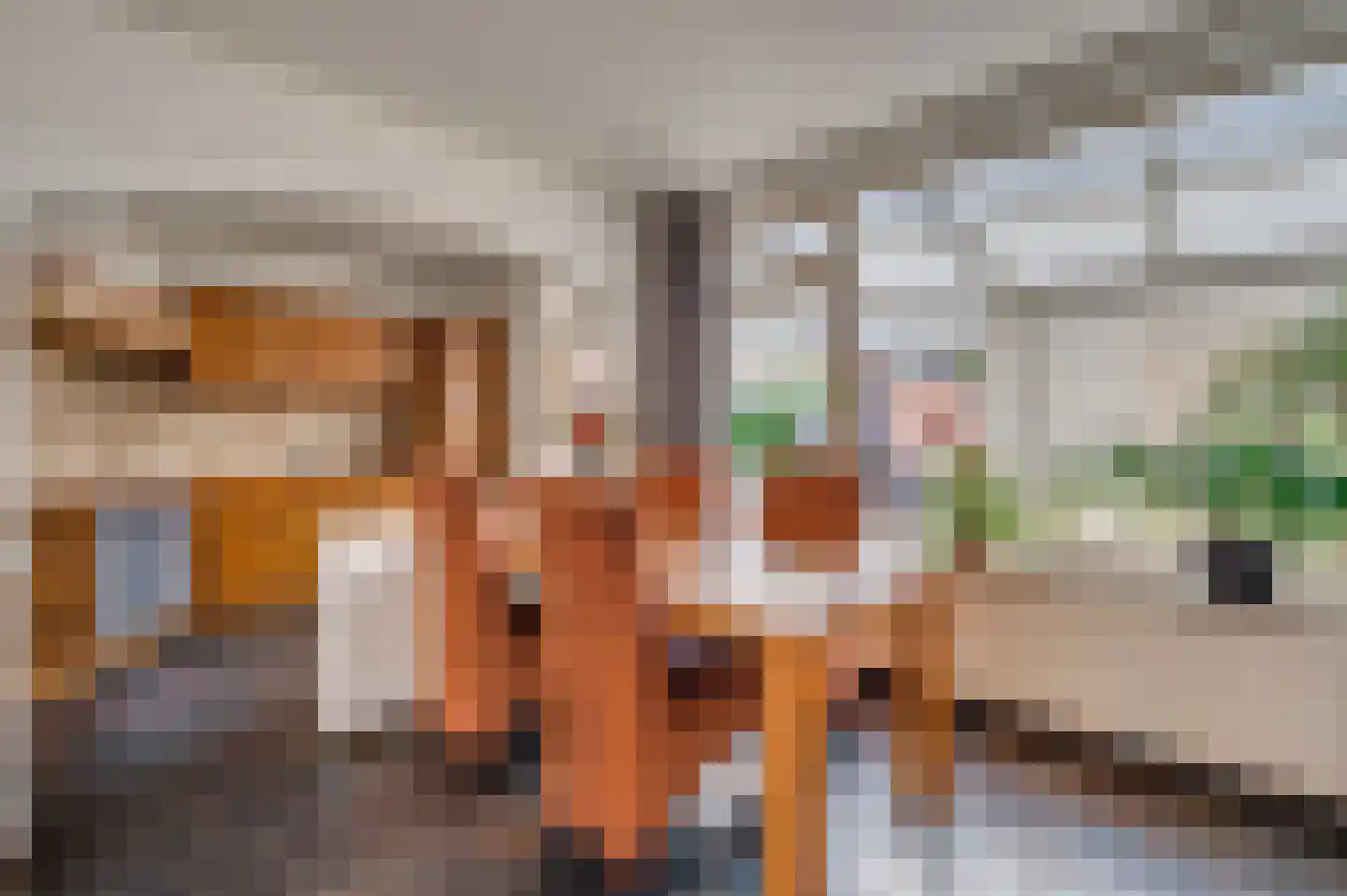 Willem Alexanderstraat 3 Velden thumbnail 10