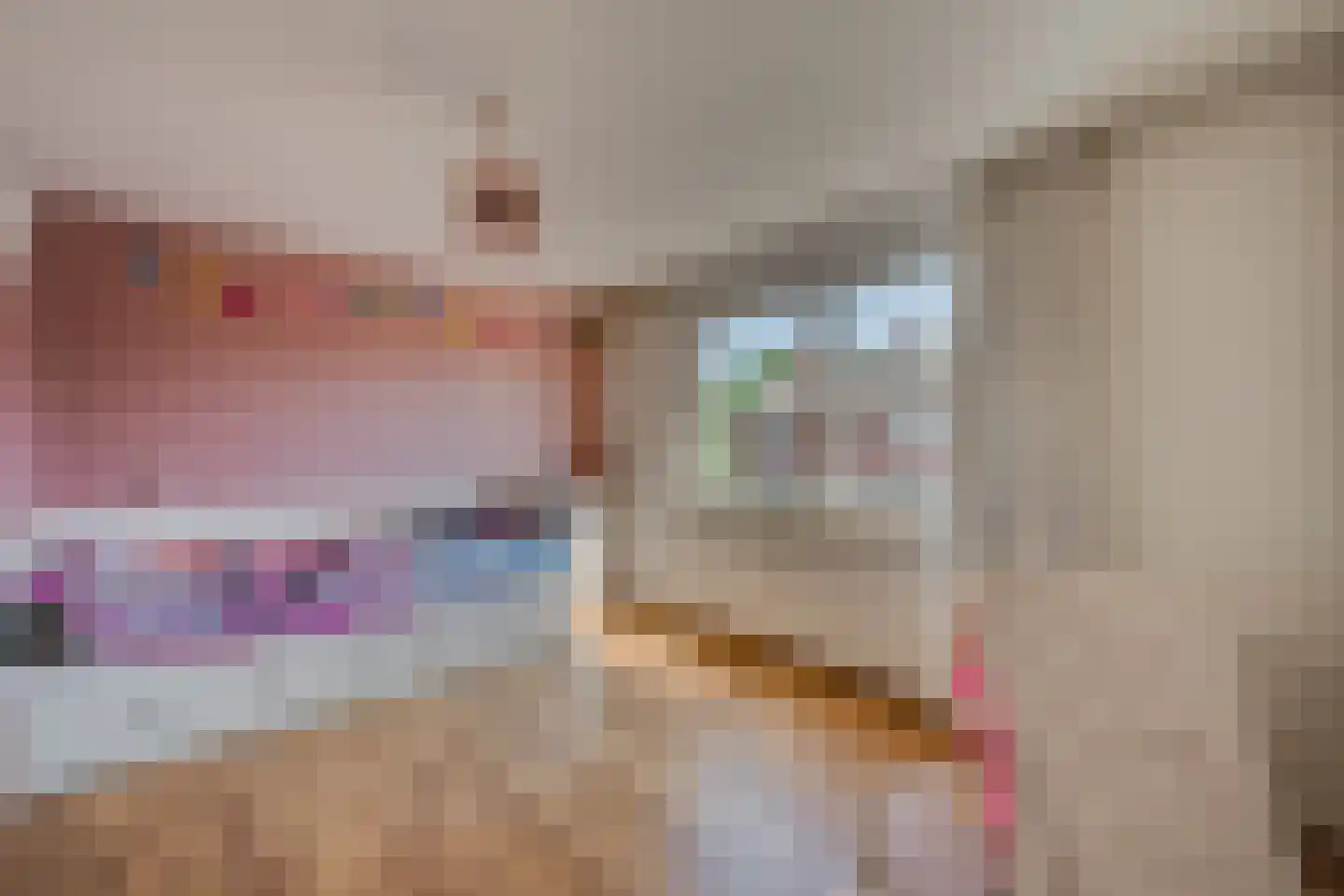 Willem Alexanderstraat 3 Velden thumbnail 21