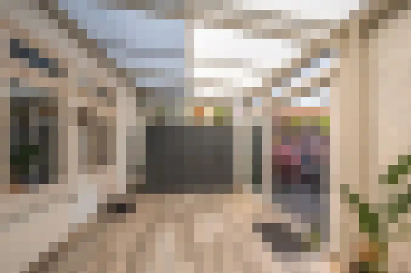 Willem Alexanderstraat 3 Velden thumbnail 32