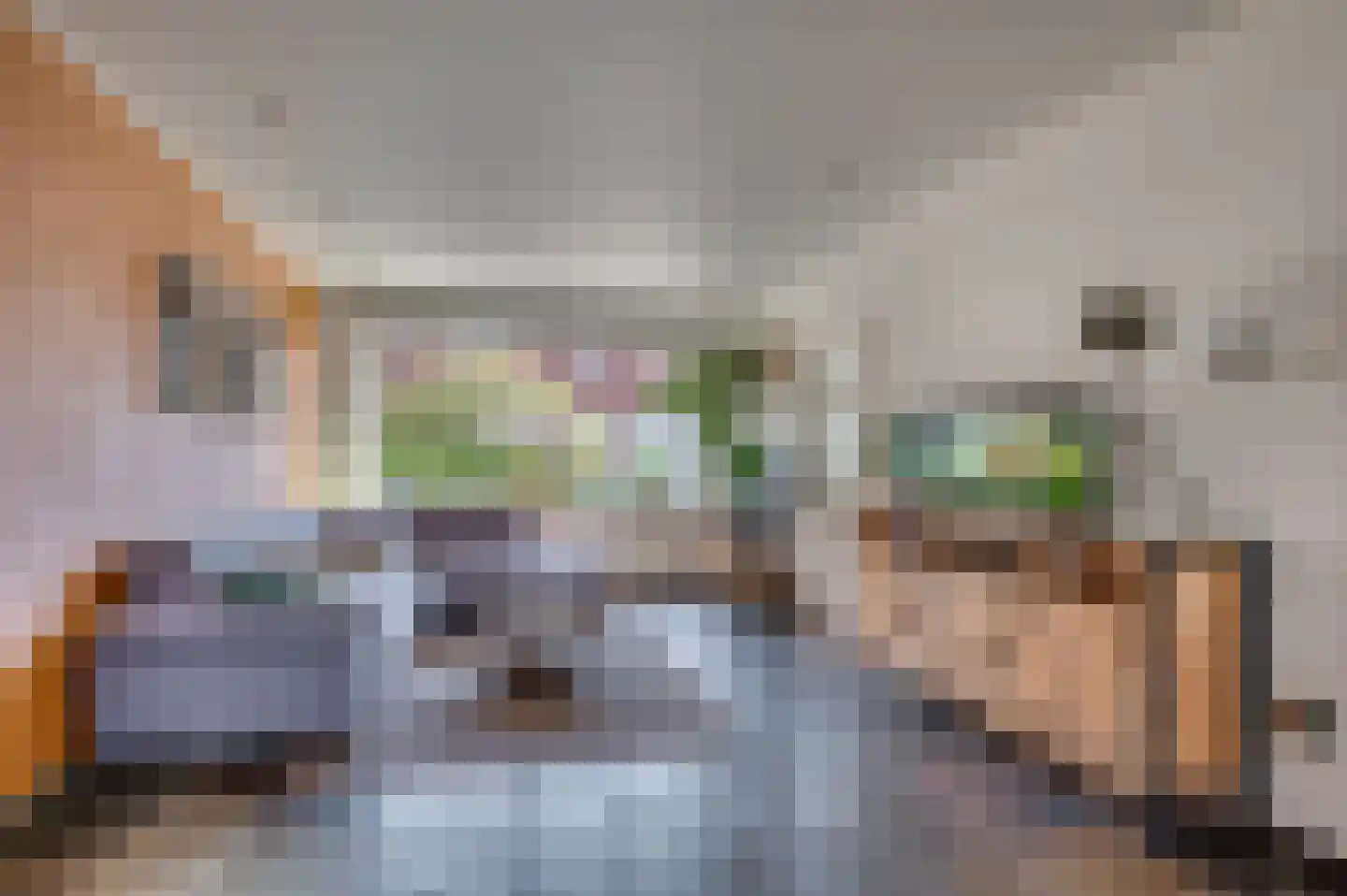 Willem Alexanderstraat 3 Velden thumbnail 7