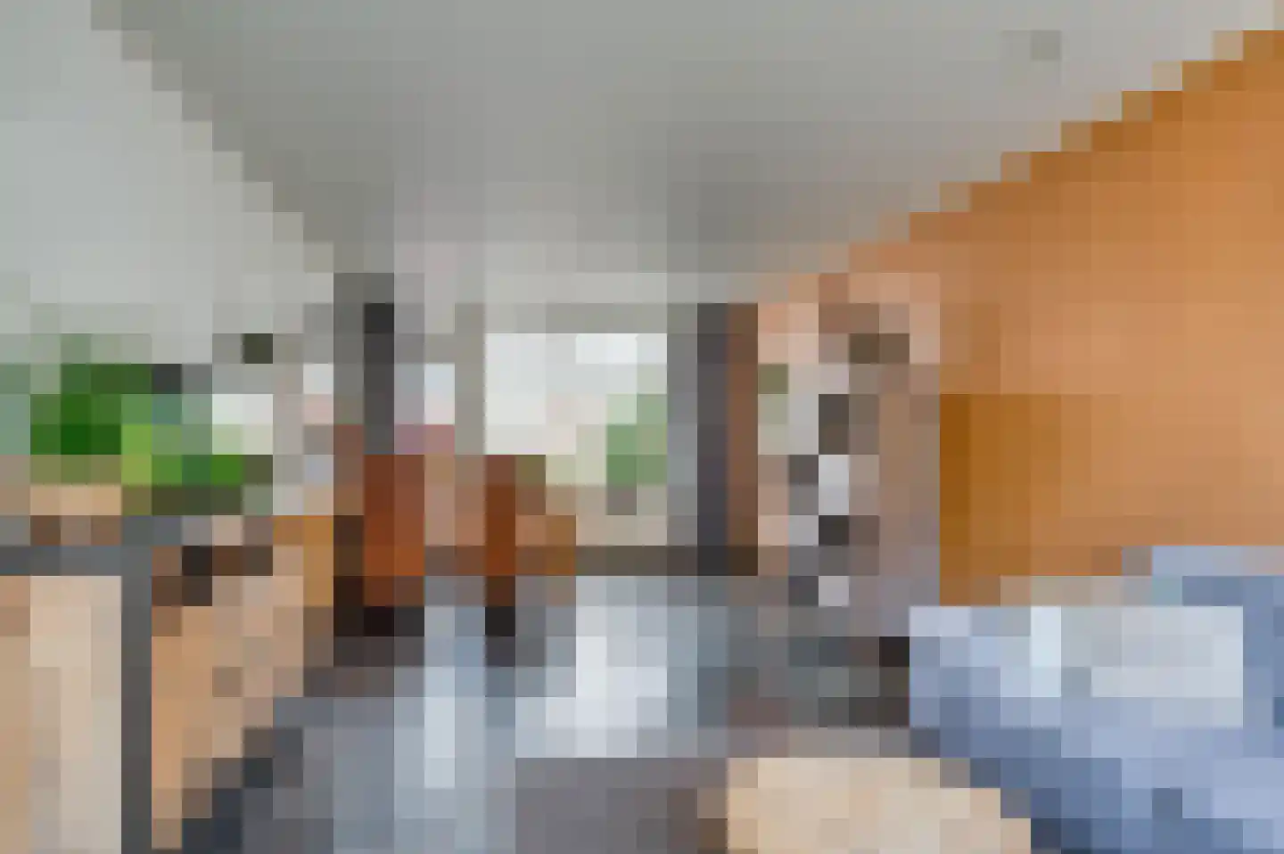 Willem Alexanderstraat 3 Velden thumbnail 8