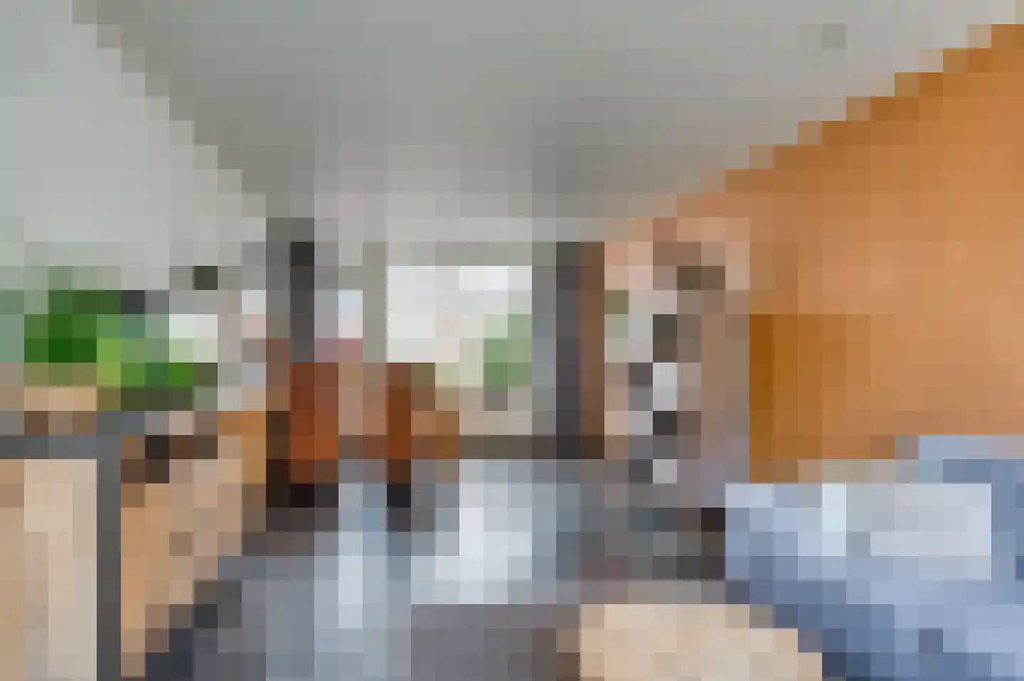 Willem Alexanderstraat 3 Velden thumbnail 9