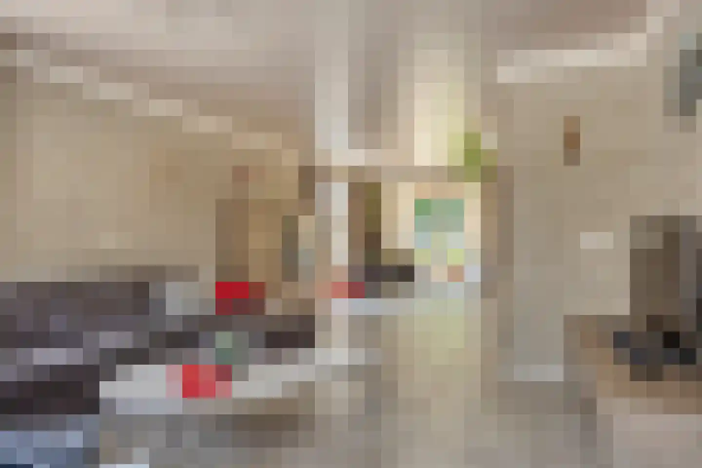 Willem-Alexanderstraat 31 Nistelrode thumbnail 13