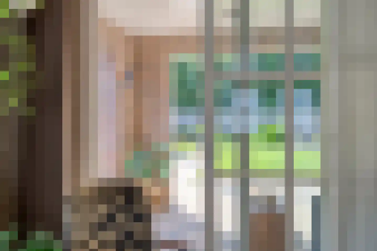 Willem-Alexanderstraat 31 Nistelrode thumbnail 15