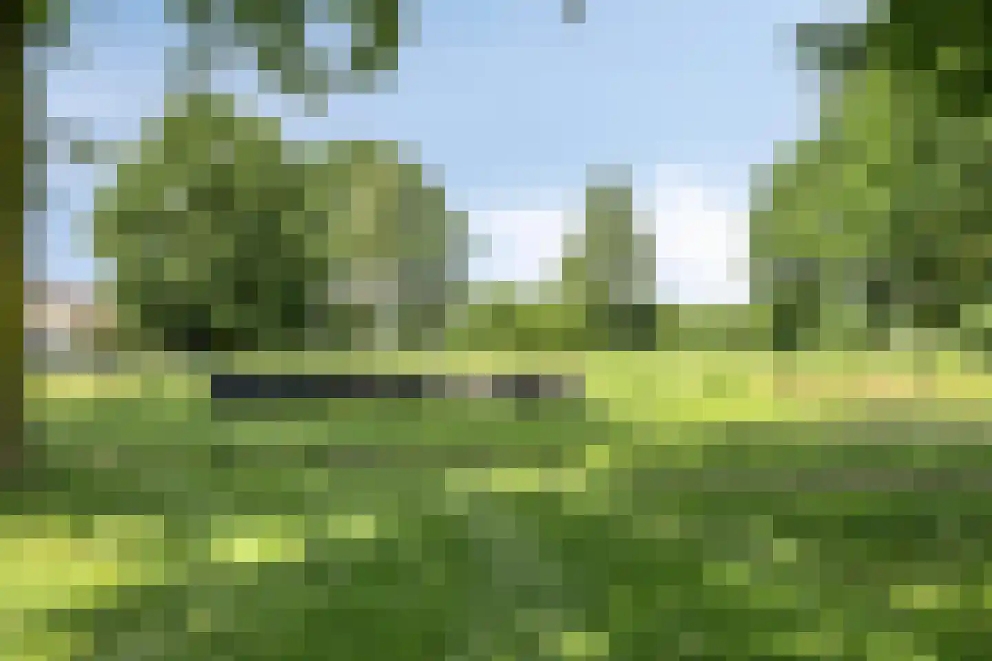 Willem-Alexanderstraat 31 Nistelrode thumbnail 47