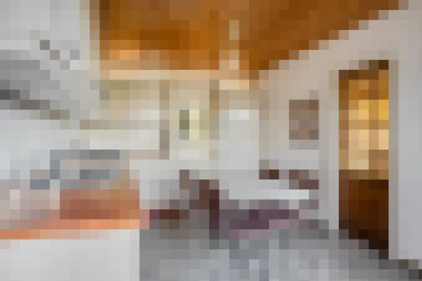 Willem Alexanderstraat 33 Andelst thumbnail 10