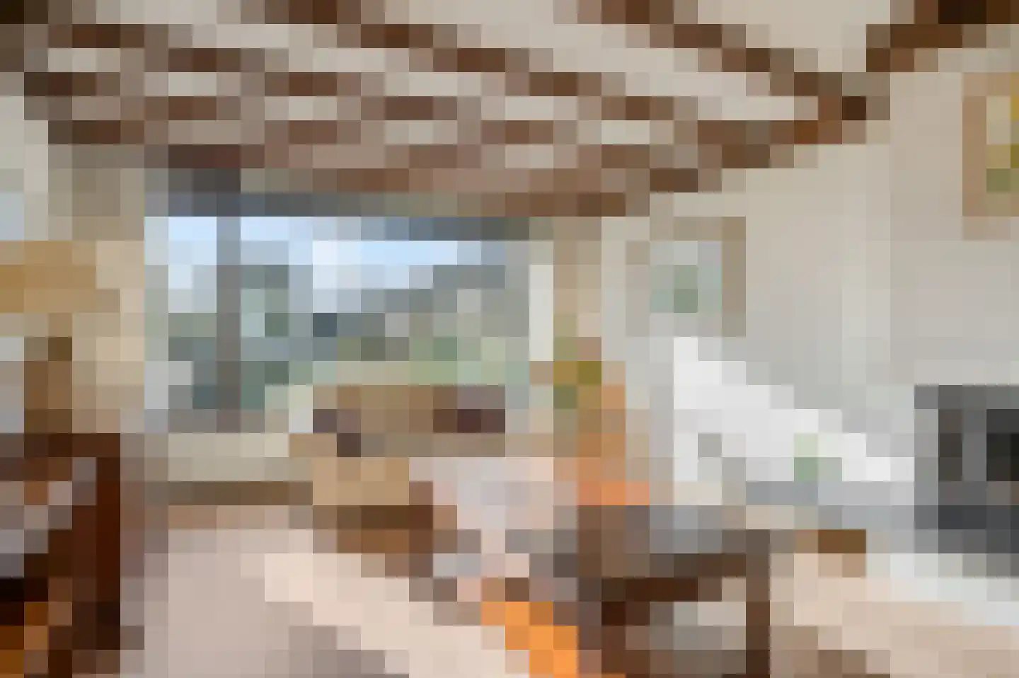 Willem Alexanderstraat 33 Andelst thumbnail 11