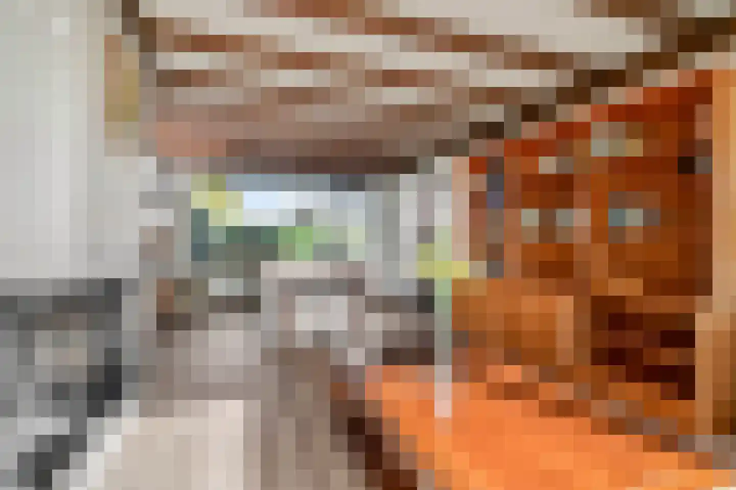 Willem Alexanderstraat 33 Andelst thumbnail 12