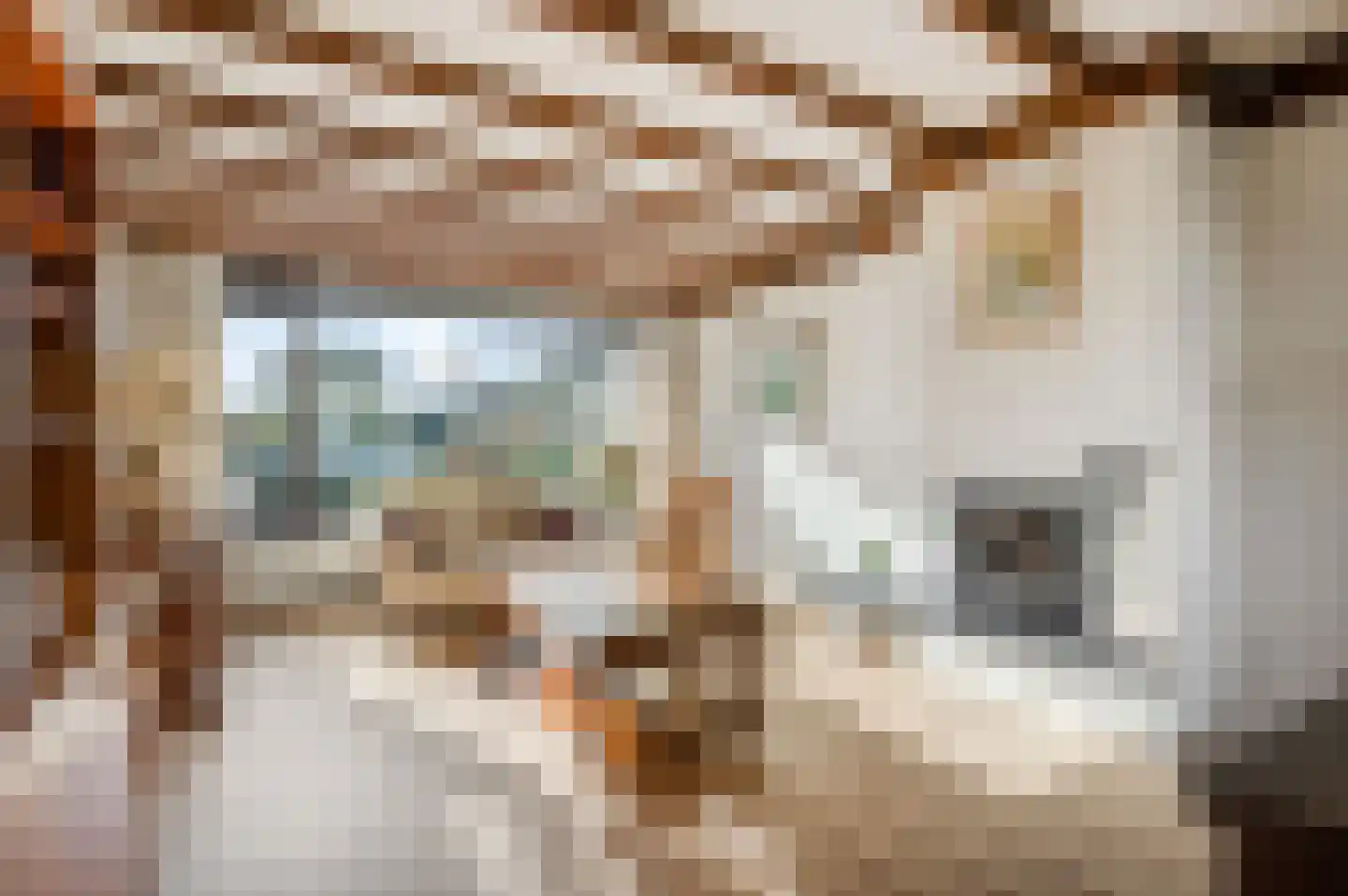 Willem Alexanderstraat 33 Andelst thumbnail 15