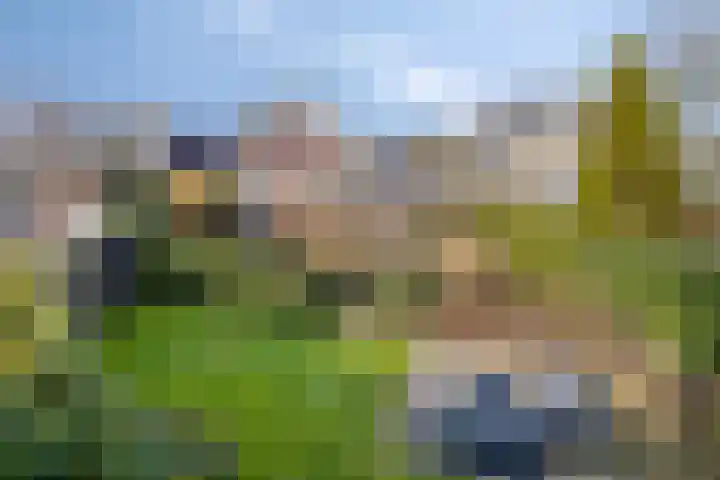 Willem Alexanderstraat 33 Asten thumbnail 4