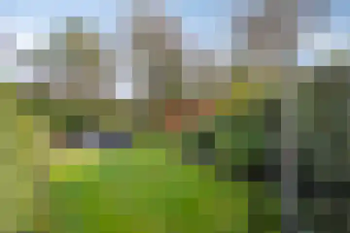 Willem Alexanderstraat 33 Asten thumbnail 6