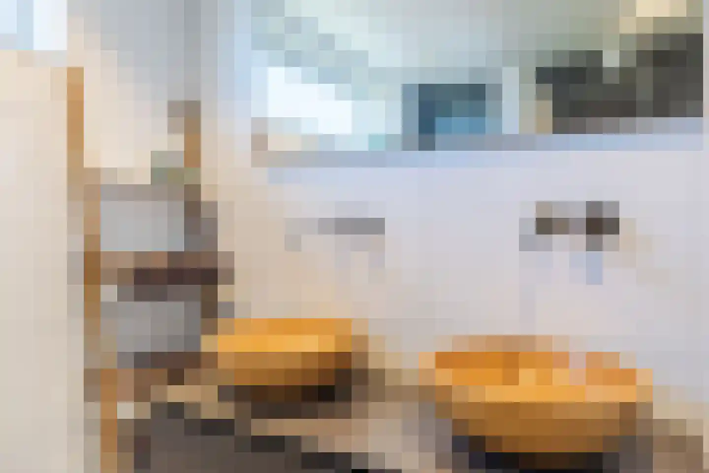 Willem-Alexanderstraat 35 Zegveld thumbnail 23