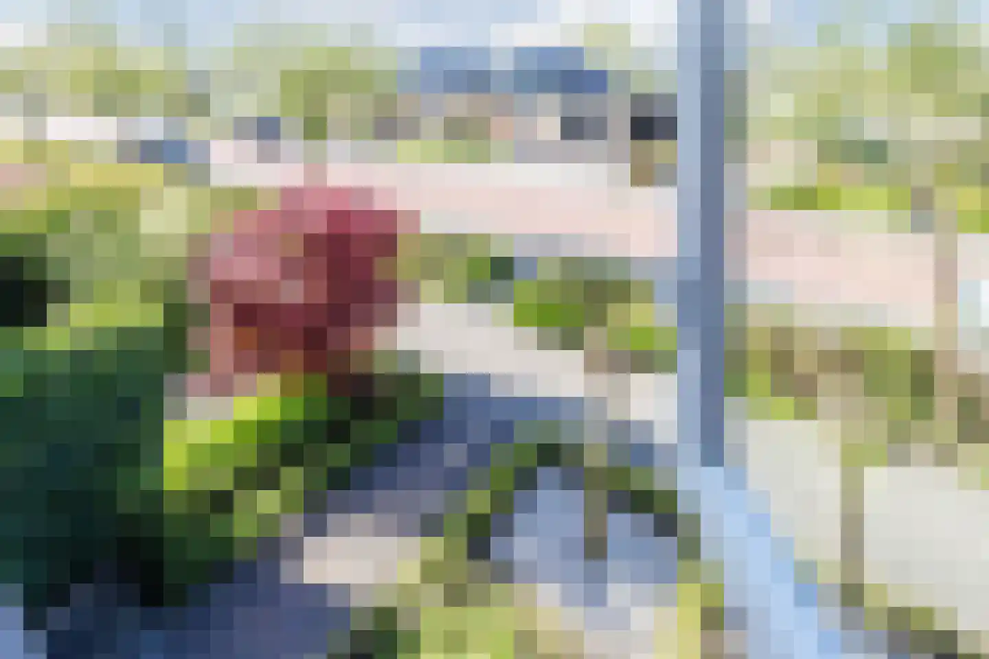 Willem-Alexanderstraat 35 Zegveld thumbnail 32