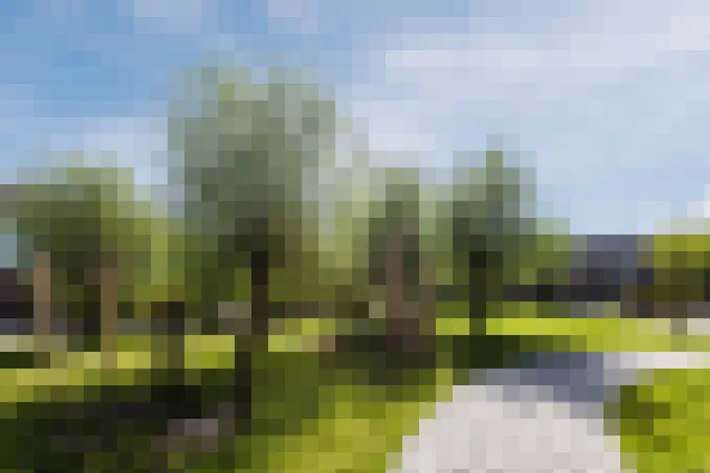 Willem-Alexanderstraat 35 Zegveld thumbnail 44