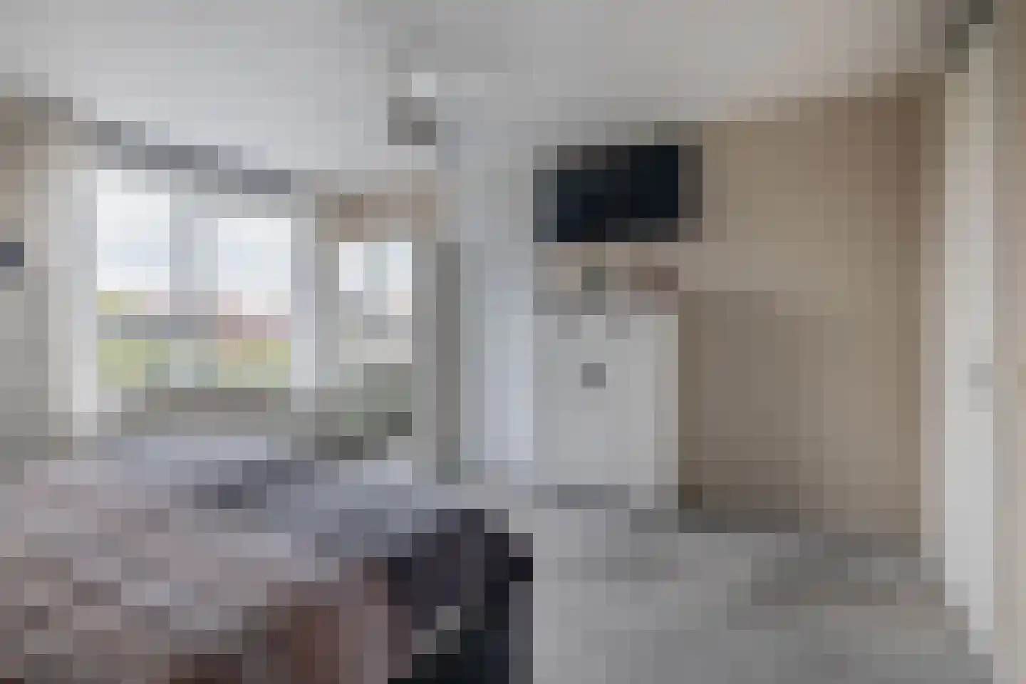 Willem-Alexanderstraat 36 Melissant thumbnail 28