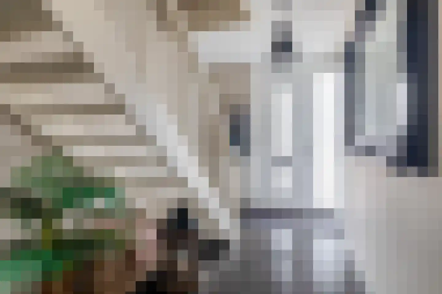Willem-Alexanderstraat 36 Melissant thumbnail 6