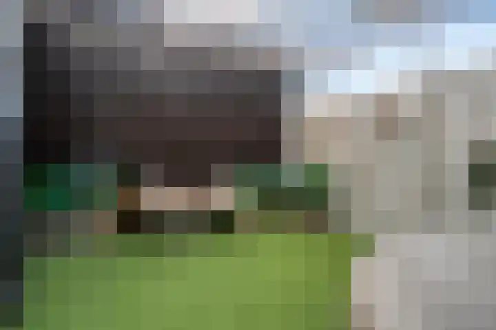 Willem-Alexanderstraat 4 c Nijverdal thumbnail 31