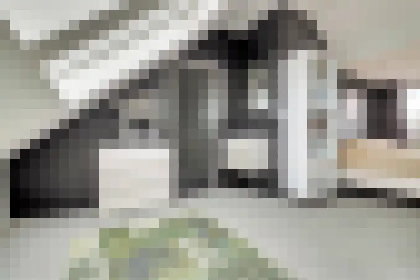 Willem-Alexanderstraat 4 Vianen thumbnail 31