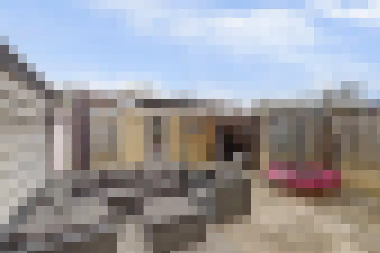 Willem-Alexanderstraat 4 Vianen thumbnail 34
