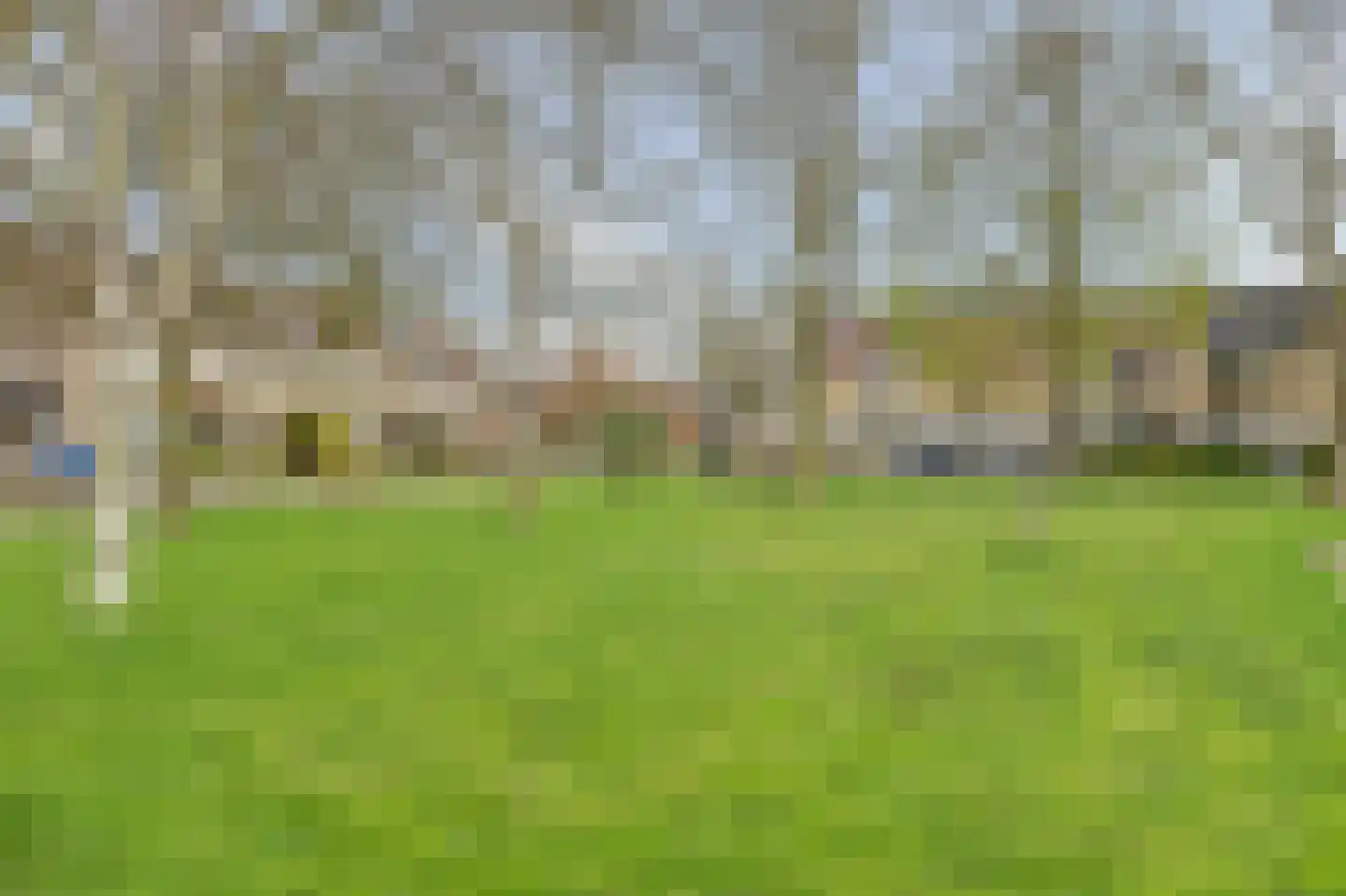 Willem-Alexanderstraat 4 Vianen thumbnail 38