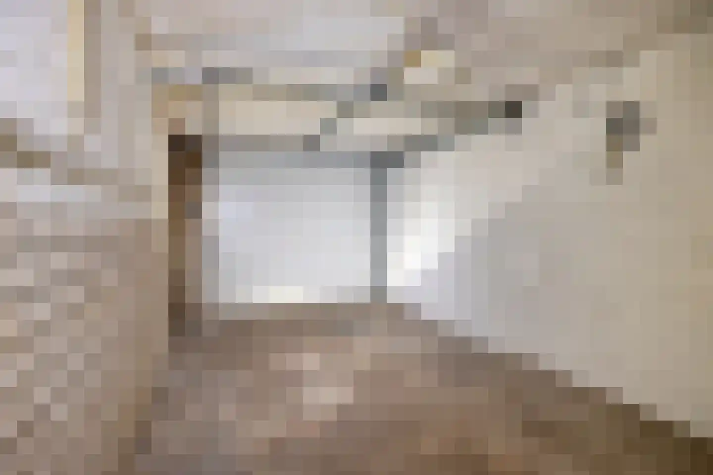 Willem Alexanderstraat 42 Eygelshoven thumbnail 27