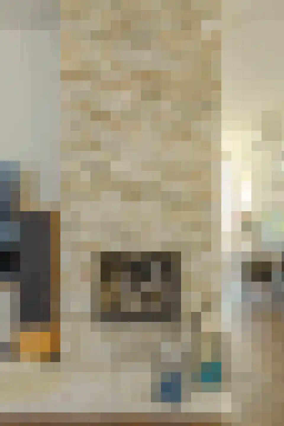 Willem-Alexanderstraat 6 Cadier en Keer thumbnail 18