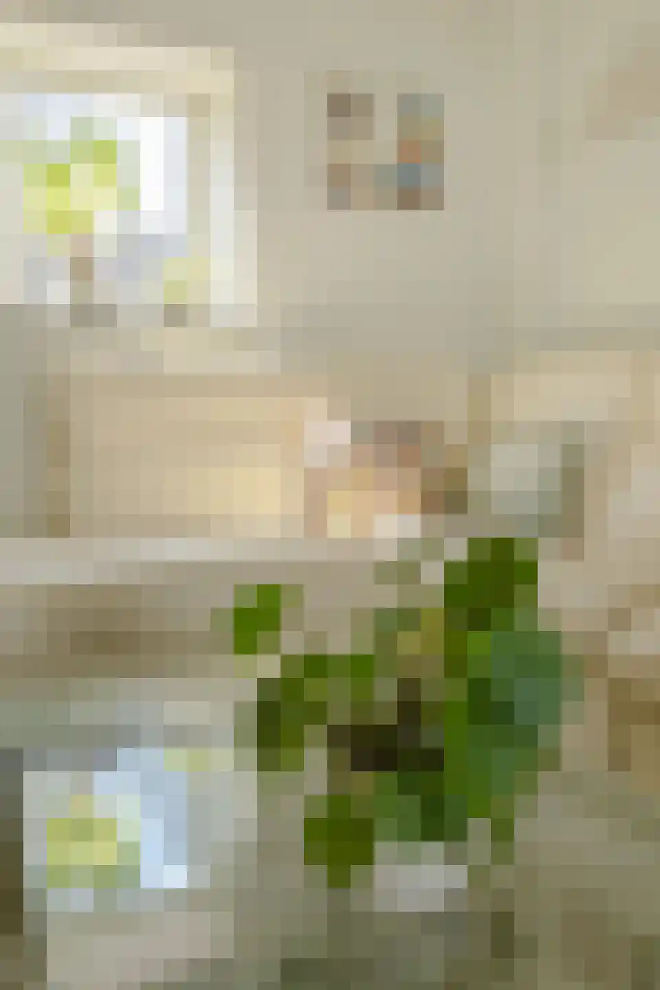 Willem-Alexanderstraat 6 Cadier en Keer thumbnail 19