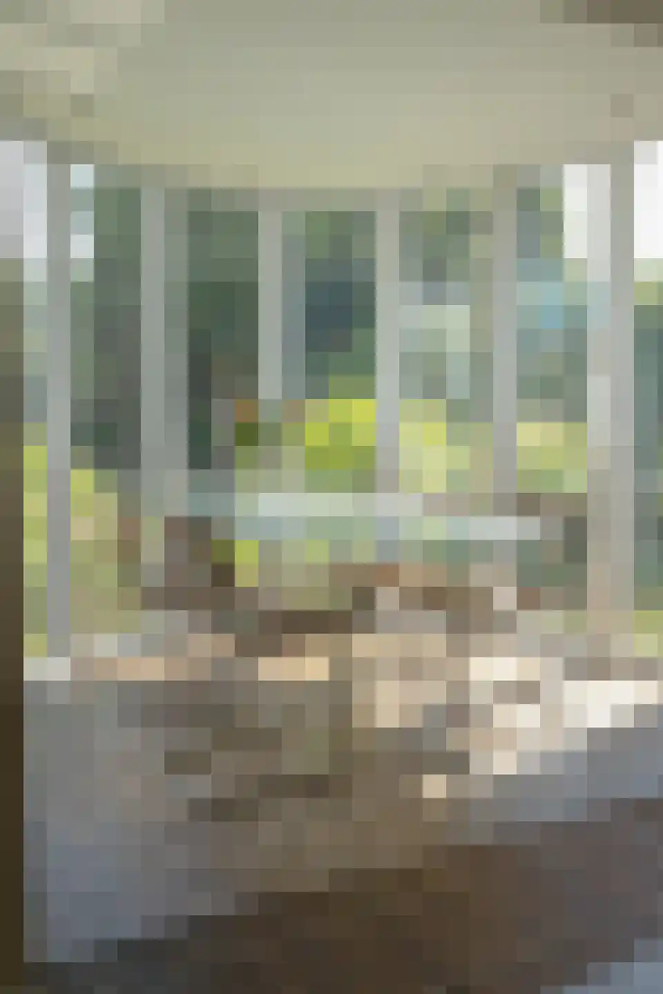 Willem-Alexanderstraat 6 Cadier en Keer thumbnail 32