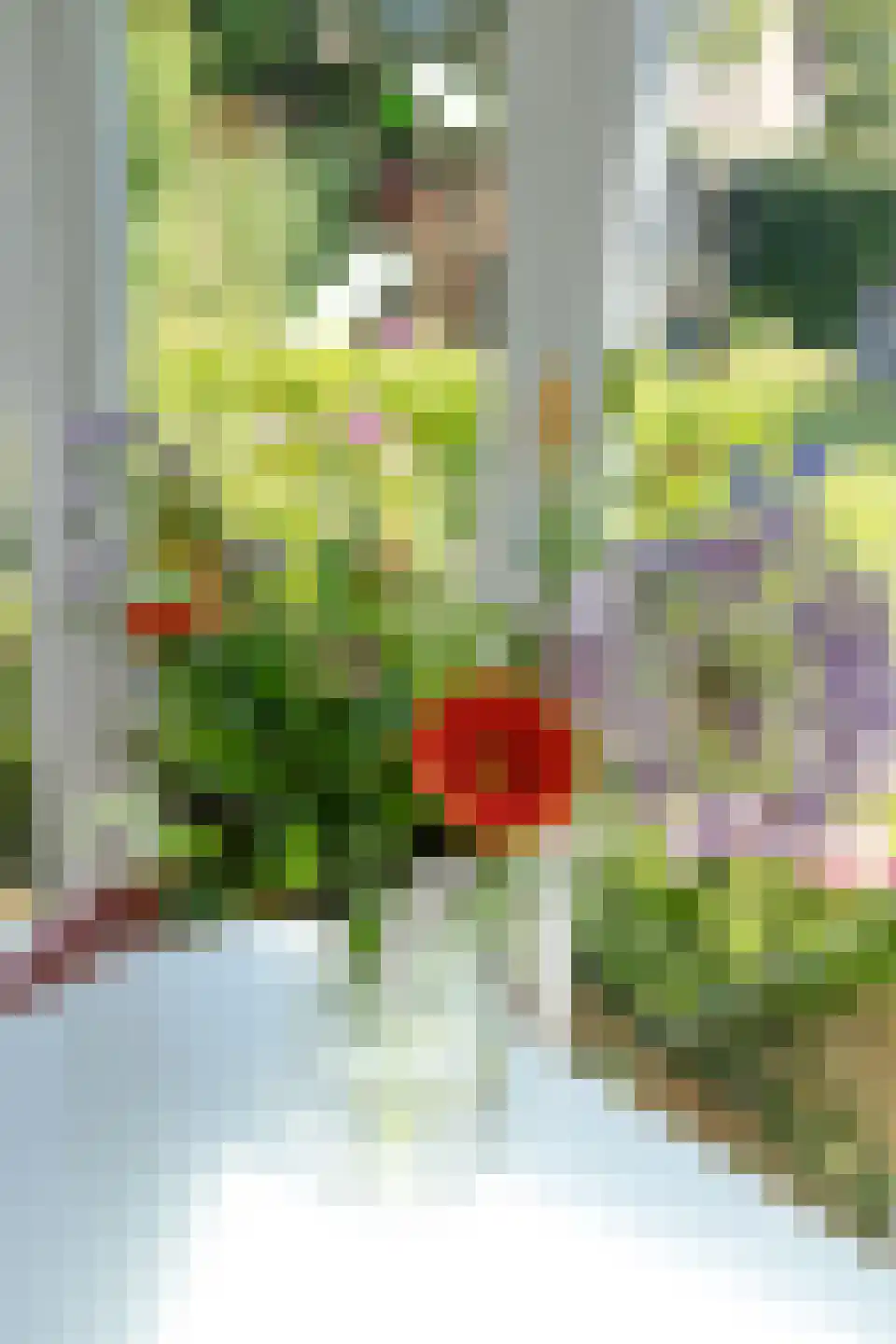 Willem-Alexanderstraat 6 Cadier en Keer thumbnail 33