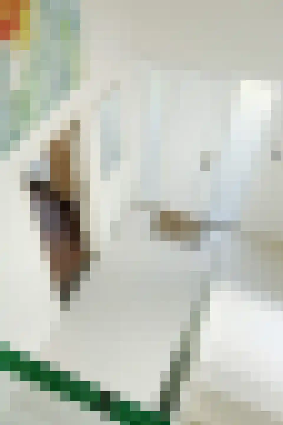 Willem-Alexanderstraat 6 Cadier en Keer thumbnail 34