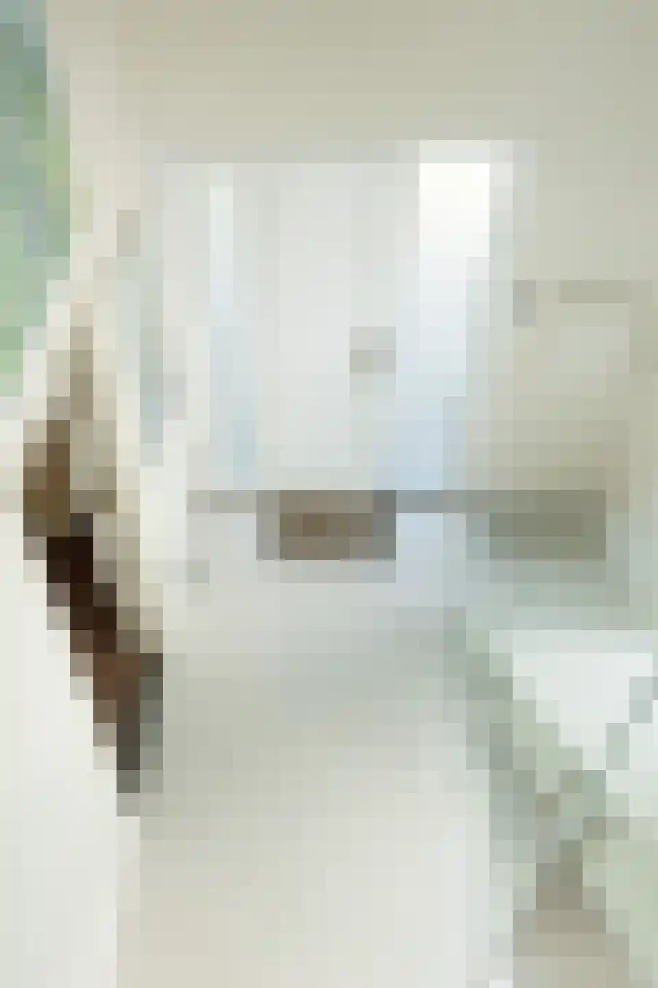 Willem-Alexanderstraat 6 Cadier en Keer thumbnail 7