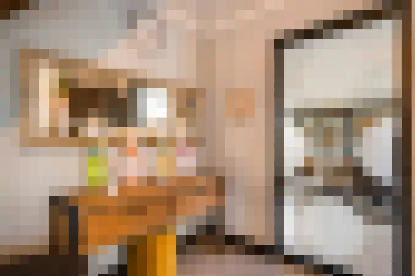 Willem-Alexanderstraat 6 Horst thumbnail 12