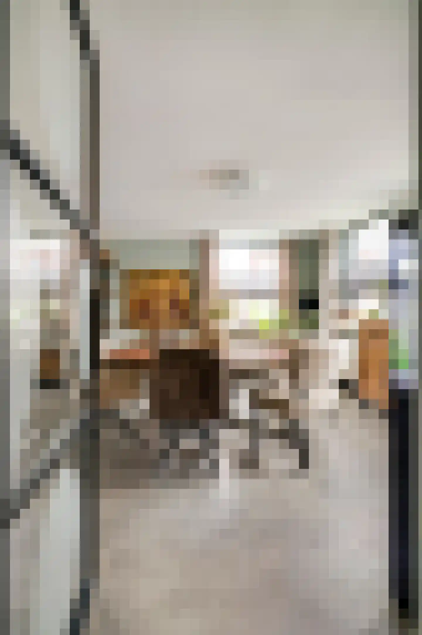 Willem-Alexanderstraat 6 Horst thumbnail 13