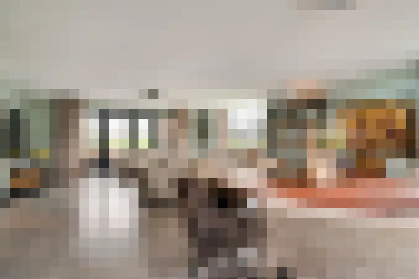 Willem-Alexanderstraat 6 Horst thumbnail 17
