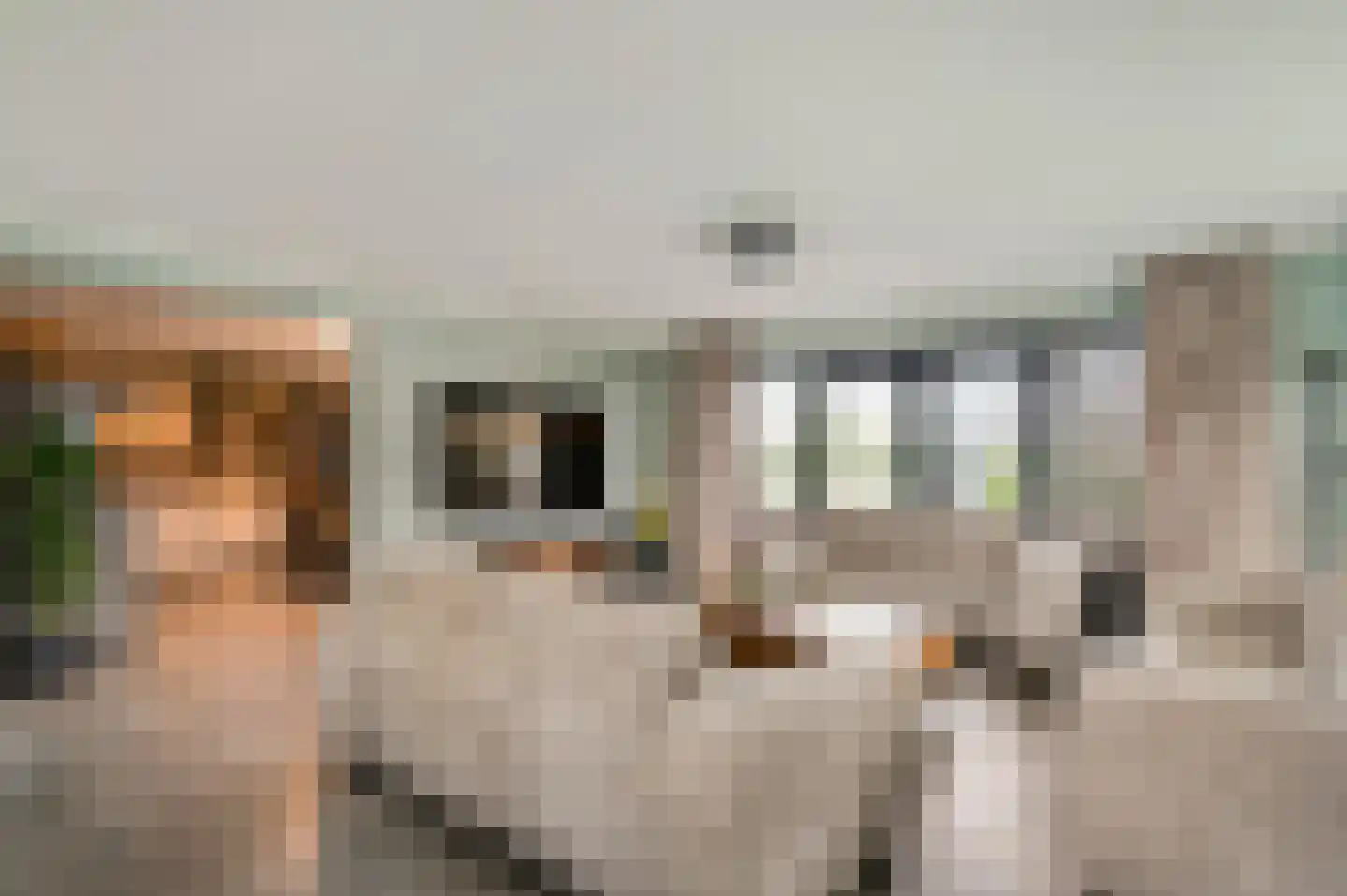 Willem-Alexanderstraat 6 Horst thumbnail 18