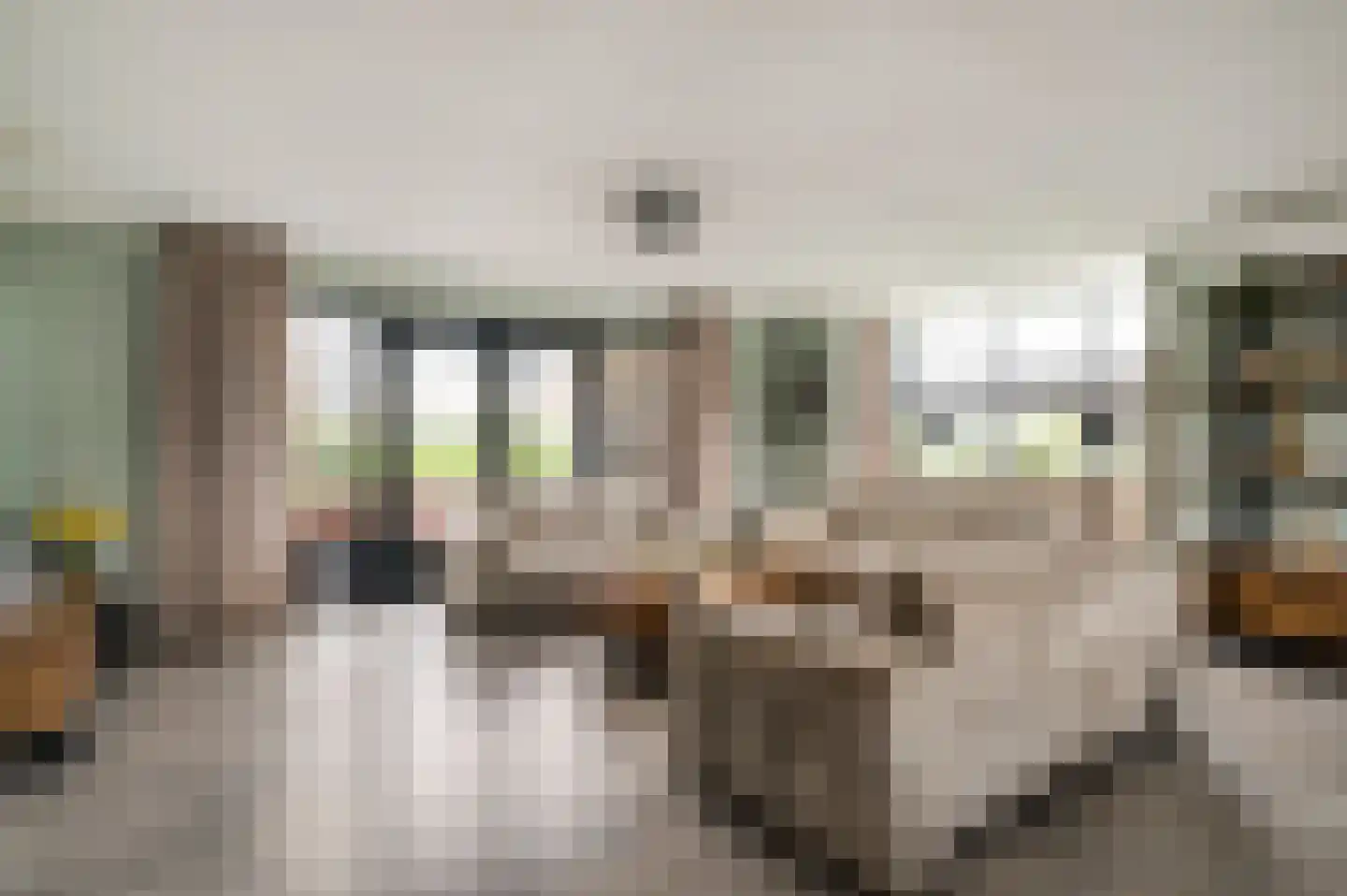 Willem-Alexanderstraat 6 Horst thumbnail 20