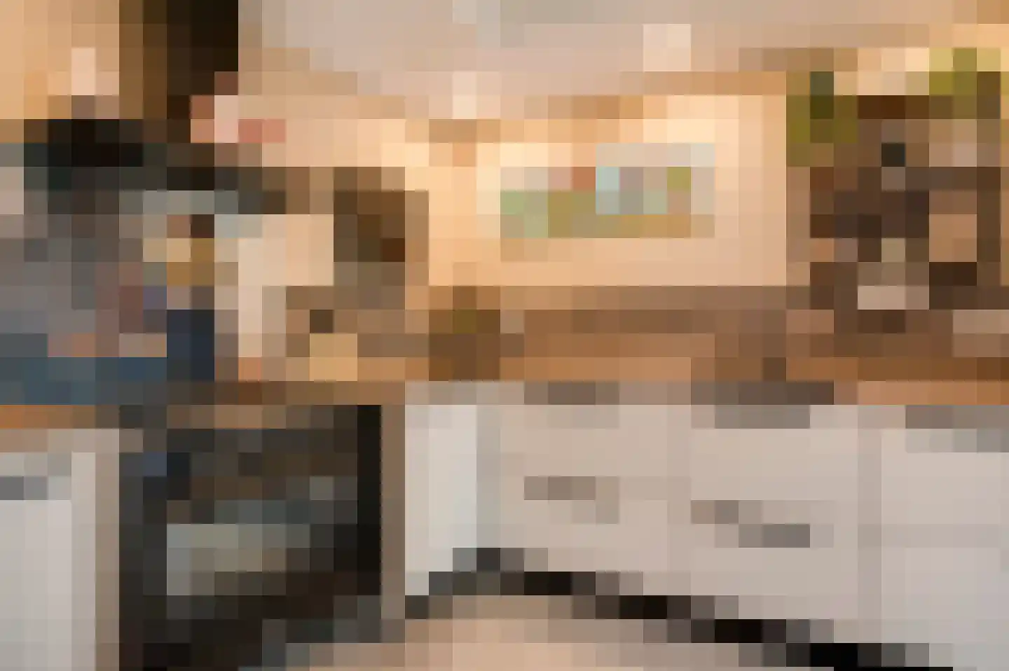 Willem-Alexanderstraat 6 Horst thumbnail 23