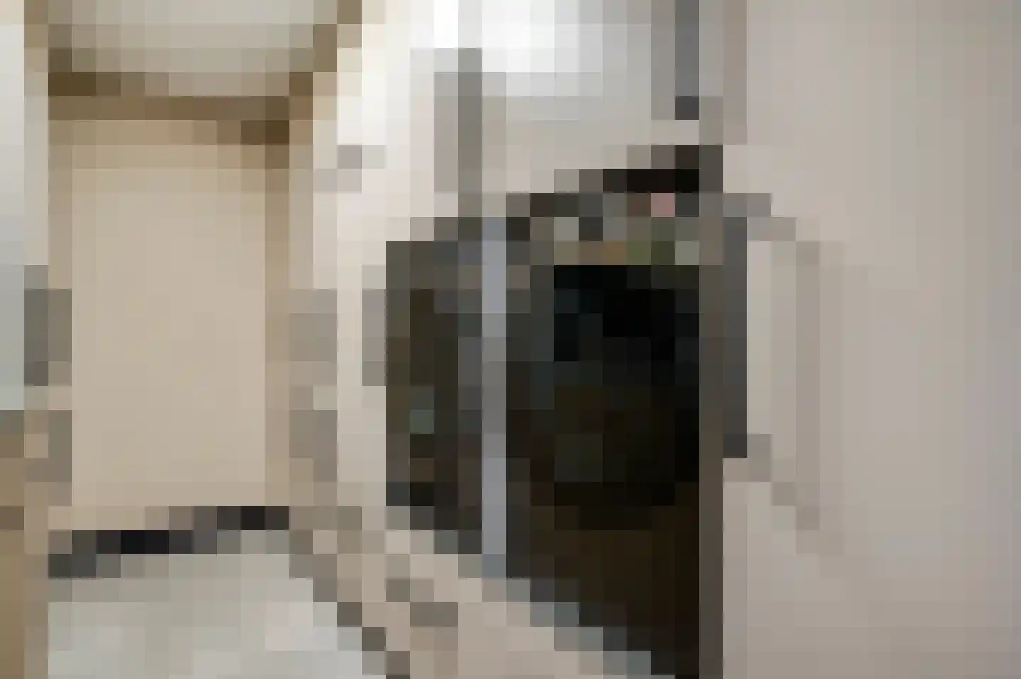 Willem-Alexanderstraat 6 Horst thumbnail 28