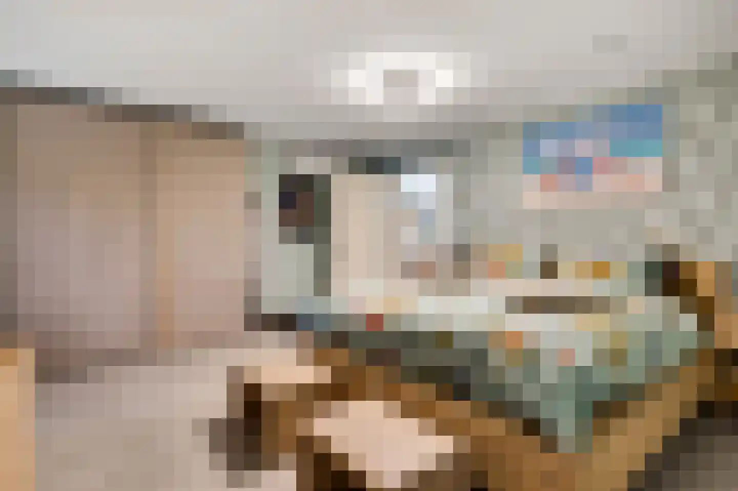 Willem-Alexanderstraat 6 Horst thumbnail 30