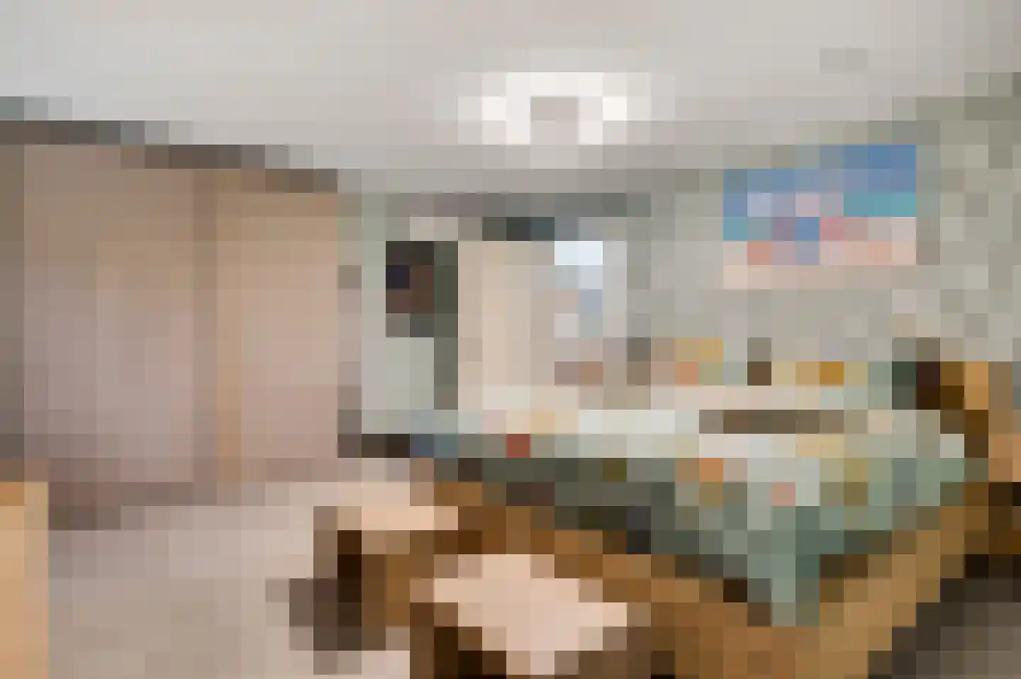 Willem-Alexanderstraat 6 Horst thumbnail 30
