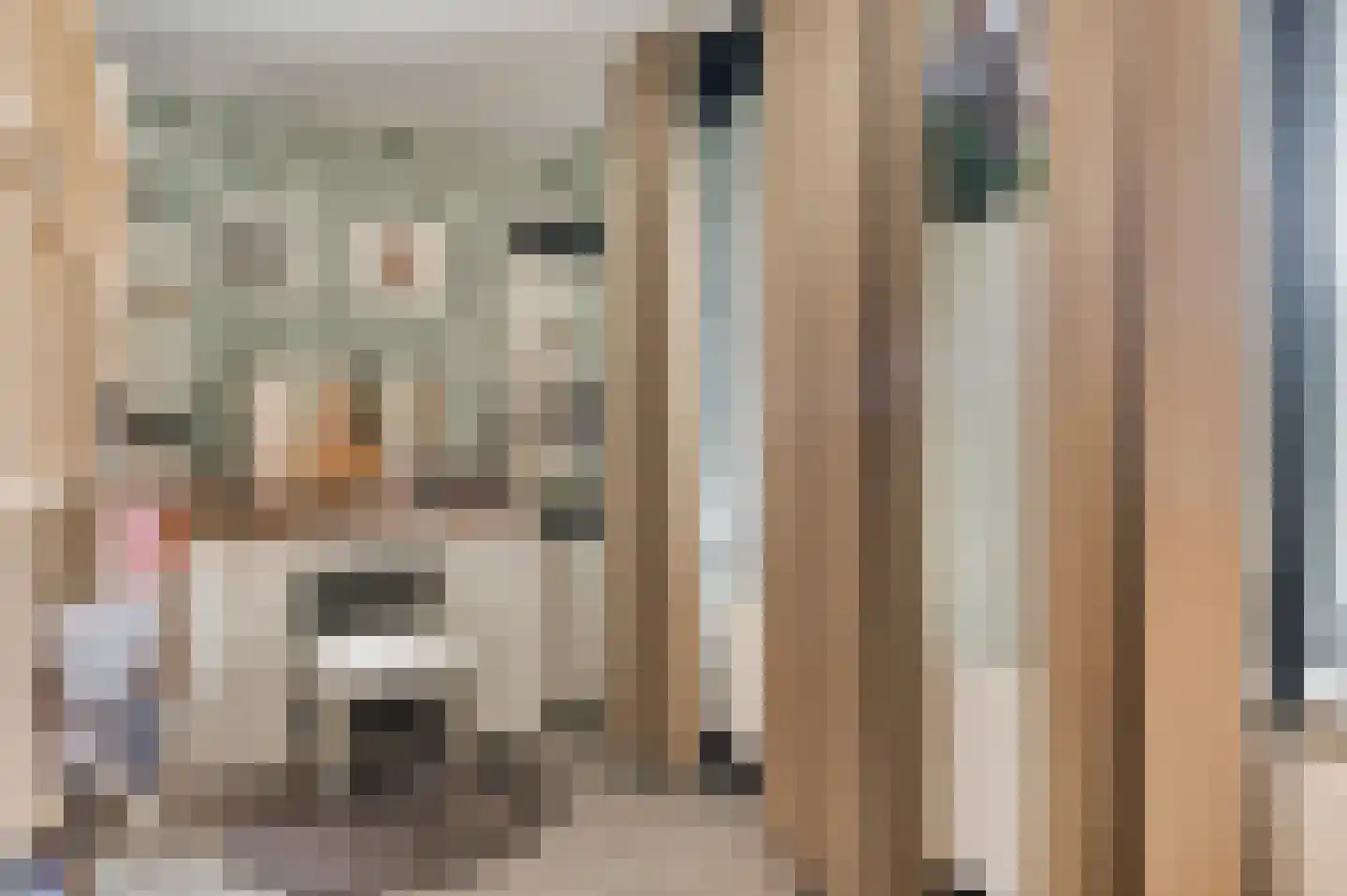 Willem-Alexanderstraat 6 Horst thumbnail 33