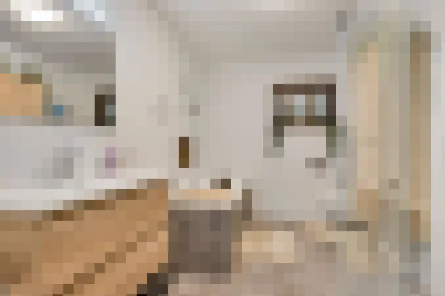 Willem-Alexanderstraat 6 Horst thumbnail 34