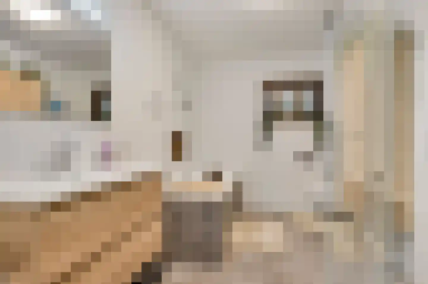 Willem-Alexanderstraat 6 Horst thumbnail 34