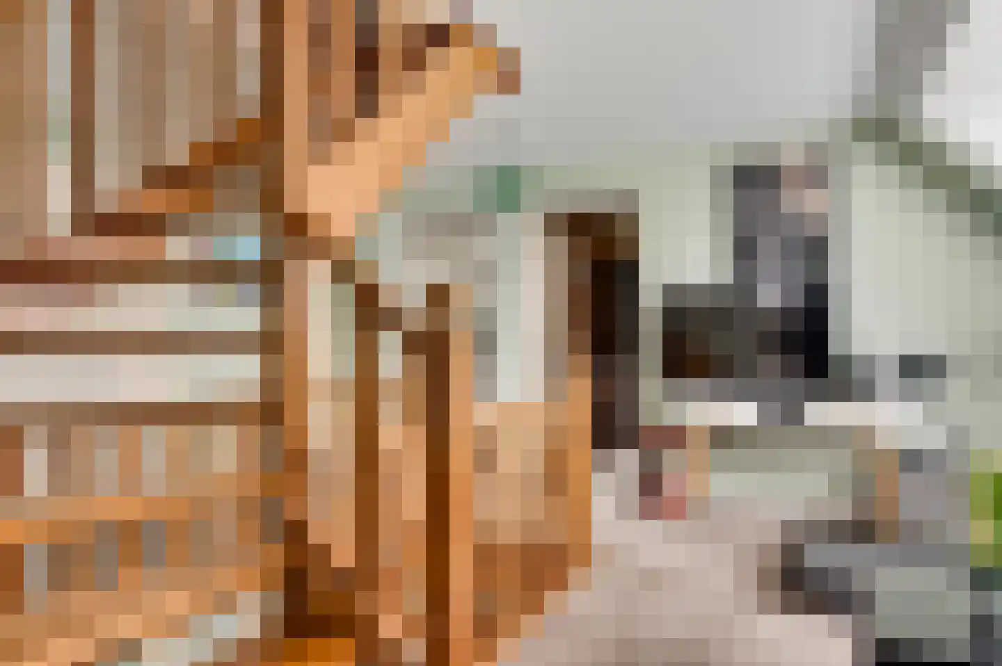 Willem-Alexanderstraat 6 Horst thumbnail 40