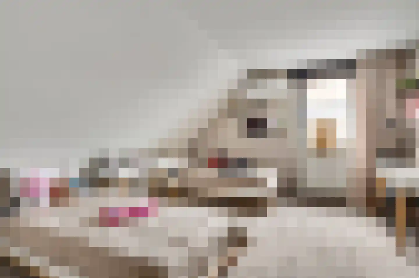 Willem-Alexanderstraat 6 Horst thumbnail 41