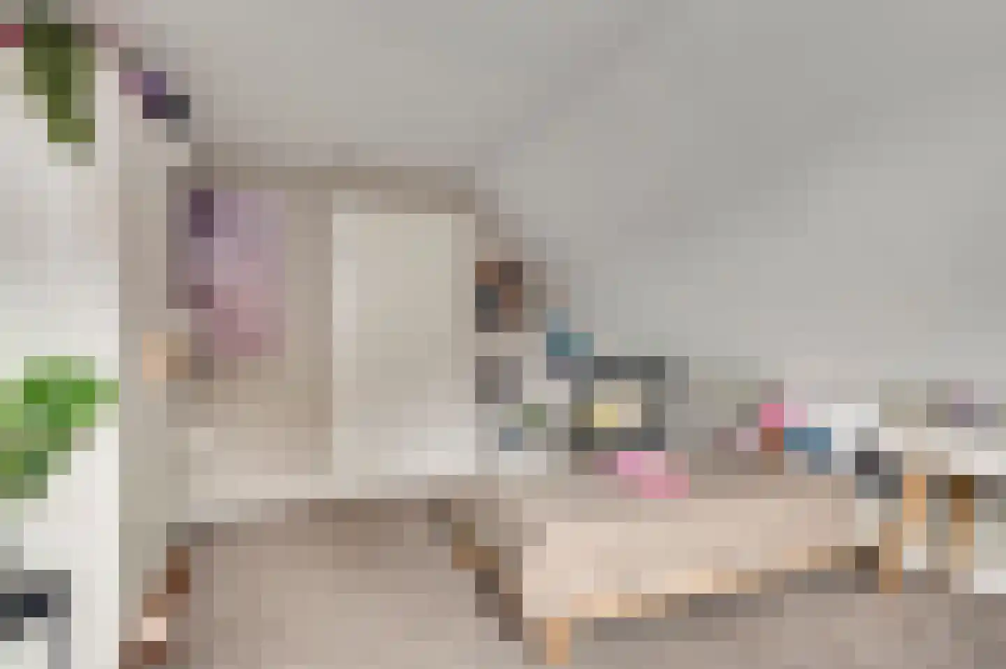 Willem-Alexanderstraat 6 Horst thumbnail 42