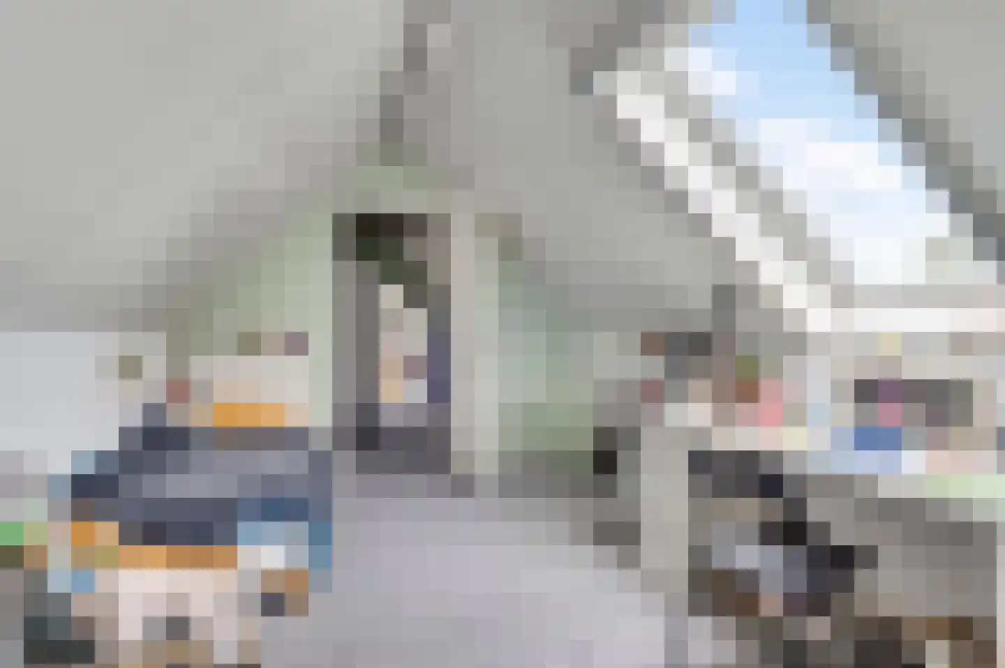 Willem-Alexanderstraat 6 Horst thumbnail 53