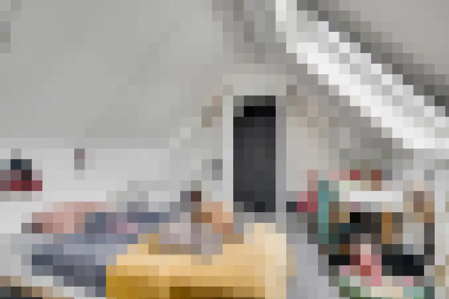 Willem-Alexanderstraat 6 Horst thumbnail 54
